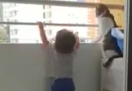 Il gatto baby sitter sorveglia il bimbo sul balcone